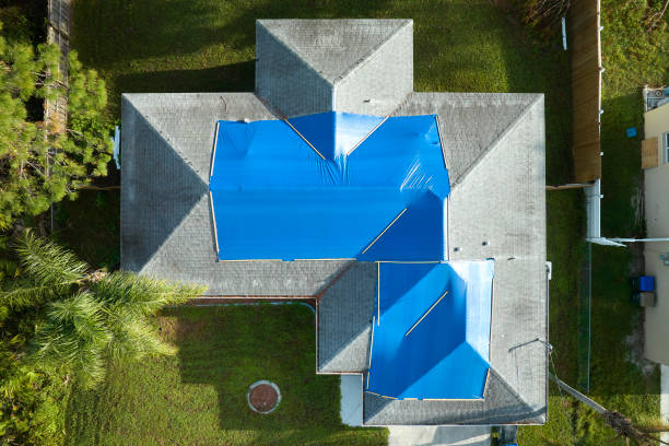 Best Commercial Roofing Services  in Questa, NM