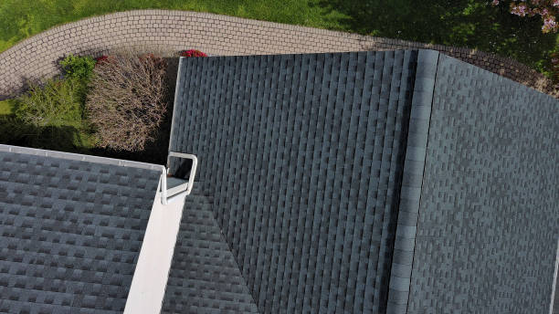 Best Roof Maintenance and Cleaning  in Questa, NM