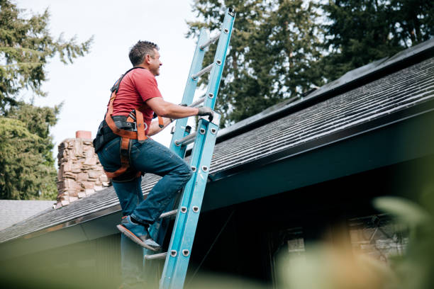Best Roofing for New Construction  in Questa, NM