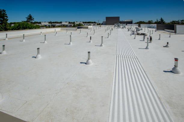 Best Wood Shake Roofing  in Questa, NM